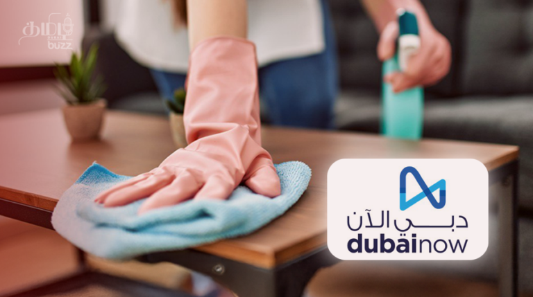 Dubai Now App