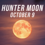Hunter Moon