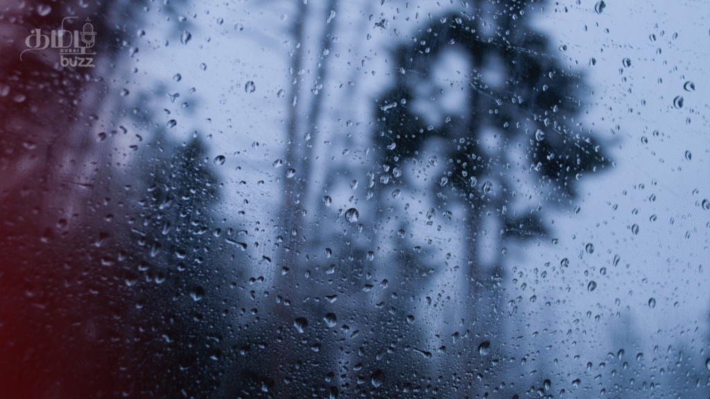 Rain Representation image