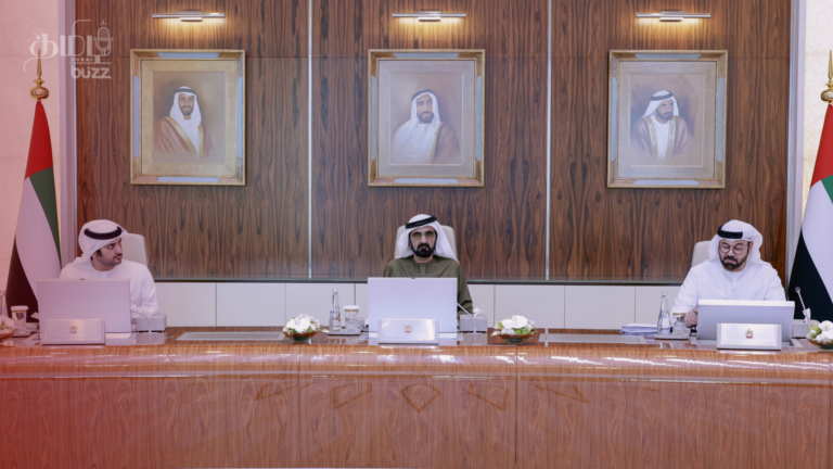 government of dubai organisational structure overview