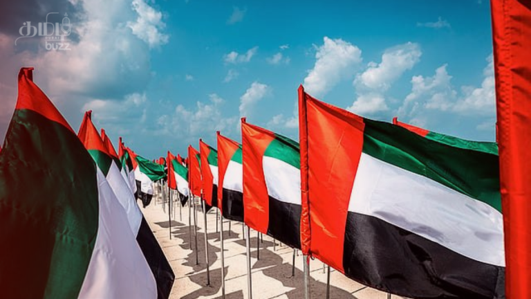 UAE Flag